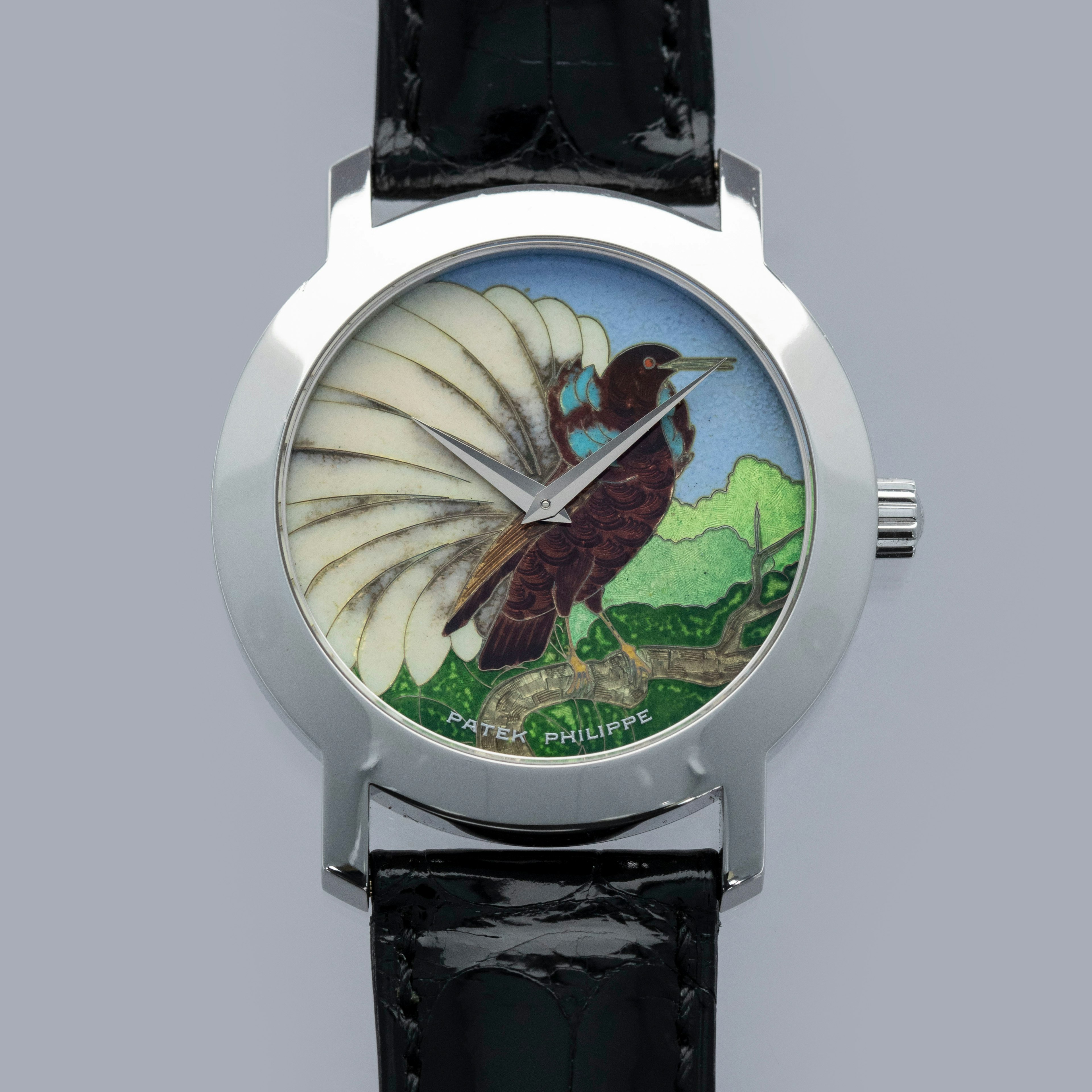 Thumbnail for Patek Philippe Calatrava 5075G-014 Cloisonne Enamel Birds of Paradise Seleucidis Melanoleuca 18k WG